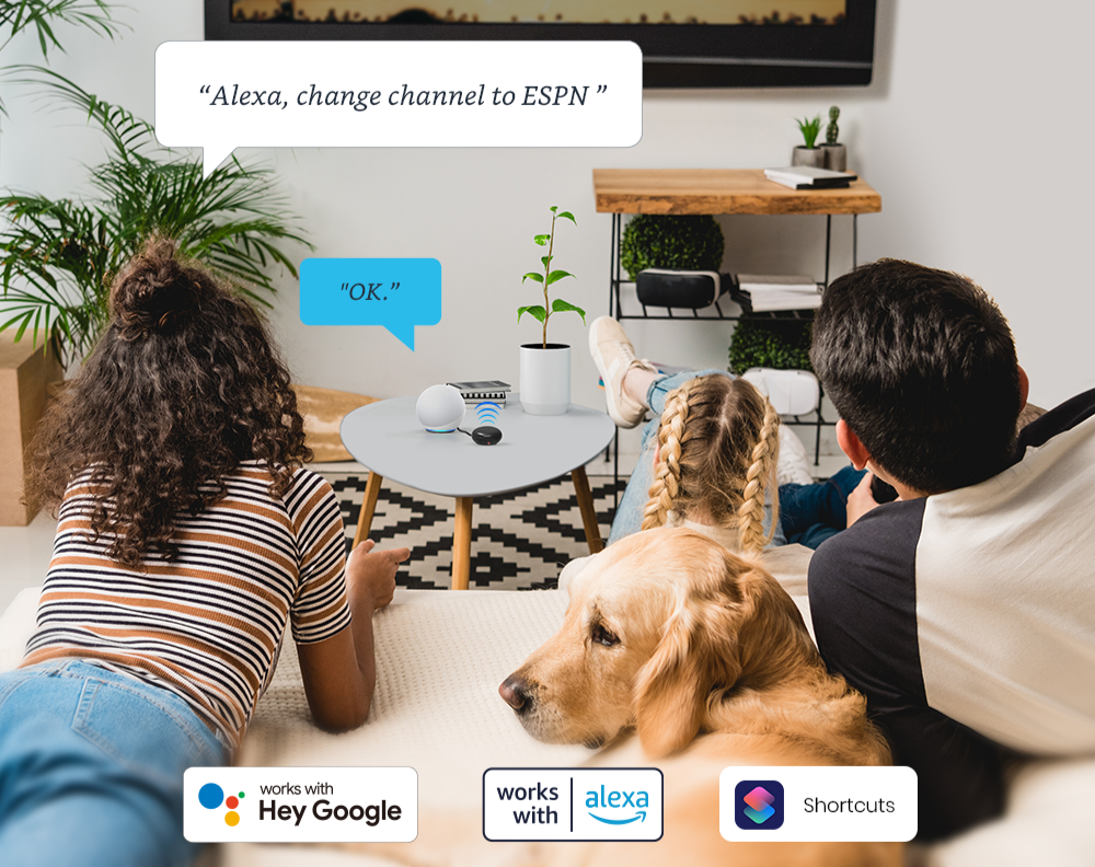 Control por voz con Alexa, Siri, Google Home